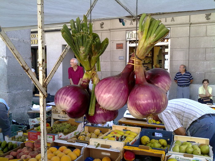 Red onions hanging in shop